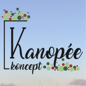 image qui montre une
                                                capture ecran accueil du site
                                                kanopeekoncept